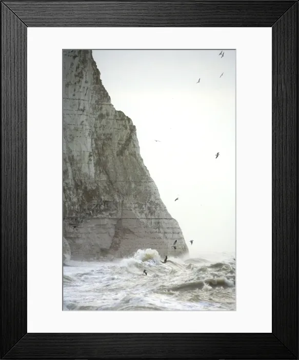 Framed Print : Gulls Over rough seas at the foot of the Seven Sisters East Sussex Coast, UK Framed Print : Gulls Over rough seas at the foot of the Seven Sisters East Sussex Coast, UK