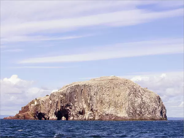Bass Rock with Northern Gannets In flight around the rock. Scotland