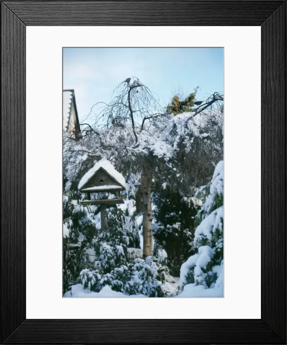 Framed Print : Bird Table - In snowy garden Winter UK Framed Print : Bird Table - In snowy garden Winter UK