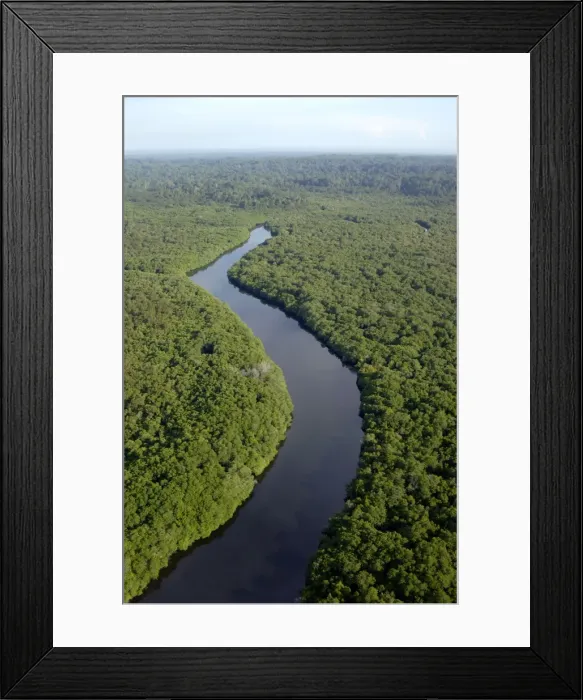 Framed Print : Rainforest and a river near Sekong Bay, near Sandakan; helicopter view; Sabah, Borneo, Malaysia; morning in June. Ma39. 3100 Framed Print : Rainforest and a river near Sekong Bay, near Sandakan; helicopter view; Sabah, Borneo, Malaysia; morning in June. Ma39. 3100