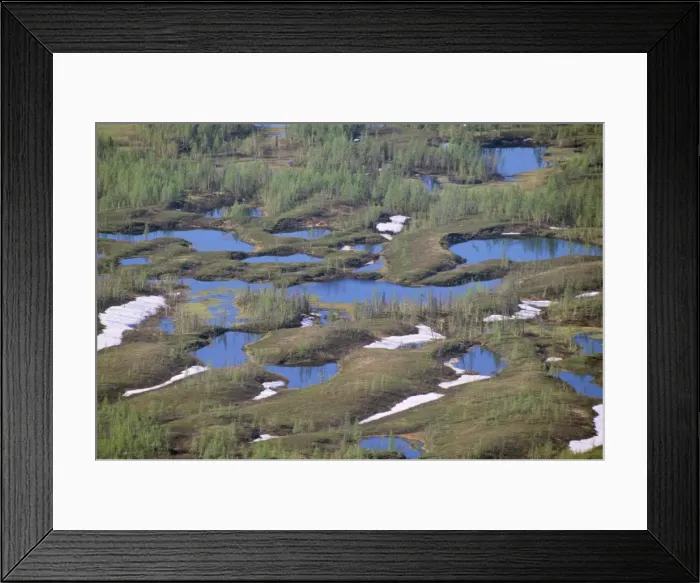 Framed Print : Russia Semi-tundra Taiga near Norilsk town, Russian Arctic Framed Print : Russia Semi-tundra Taiga near Norilsk town, Russian Arctic
