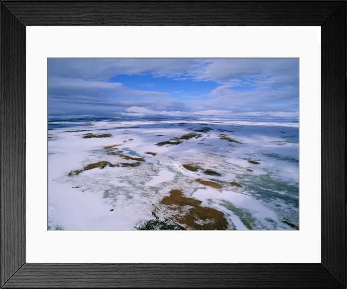 Framed Print : Russia Arctic tundra, melting snows, tundra of Taimyr peninsula near Kara Sea Framed Print : Russia Arctic tundra, melting snows, tundra of Taimyr peninsula near Kara Sea