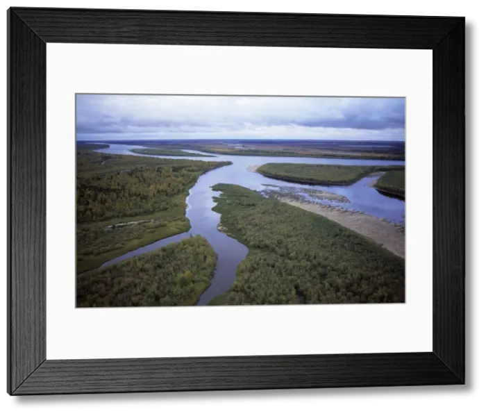 Framed Print : River Taz with sand-shelves, old river beds, islands: taiga-forest and marshes; autumn; Helicopter aerial North Tumen region, Siberia, Russia Tz30. 0566 Framed Print : River Taz with sand-shelves, old river beds, islands: taiga-forest and marshes; autumn; Helicopter aerial North Tumen region, Siberia, Russia Tz30. 0566