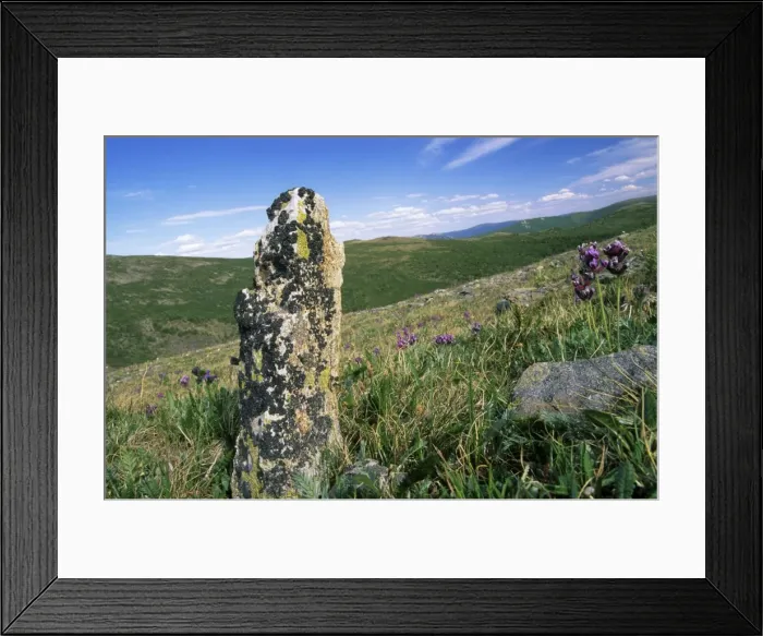 Framed Print : Russia - view with lichen covered stone (naturally erected) in Sengilen mountain range June; South Tuva, Russia Tu32. 3057 Framed Print : Russia - view with lichen covered stone (naturally erected) in Sengilen mountain range June; South Tuva, Russia Tu32. 3057