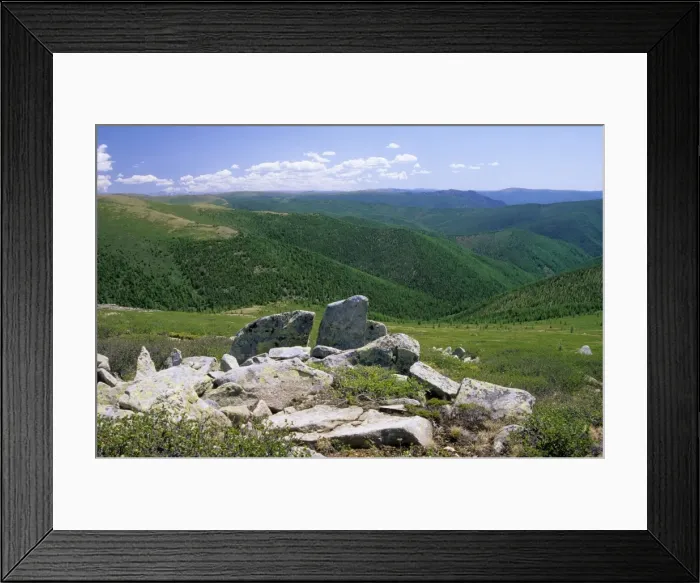 Framed Print : Russia - rocks and tundra on a mountain plateau, taiga-forest is on lower slopes, a typical view in Sengilen mountain range; June; South Tuva Tu32. 3067 Framed Print : Russia - rocks and tundra on a mountain plateau, taiga-forest is on lower slopes, a typical view in Sengilen mountain range; June; South Tuva Tu32. 3067