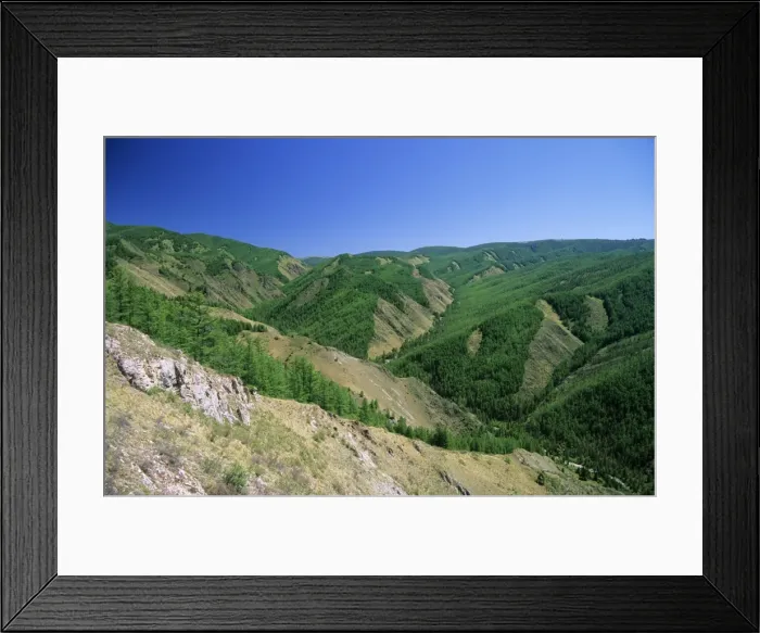 Framed Print : Russia - Sengilen mountain range slopes, taiga-forest and river Sarant in Sarant mountains gorge; June; South Tuva Tu32. 3122