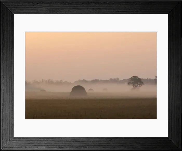Framed Print : South Russia - sunrise over a flood-plain of river Ural - a part of desman's primary area of distribution, where desmans became rare because of uncontrolled net-fishing; typically used by locals to make hay (there are few haystacks) Framed Print : South Russia - sunrise over a flood-plain of river Ural - a part of desman's primary area of distribution, where desmans became rare because of uncontrolled net-fishing; typically used by locals to make hay (there are few haystacks)