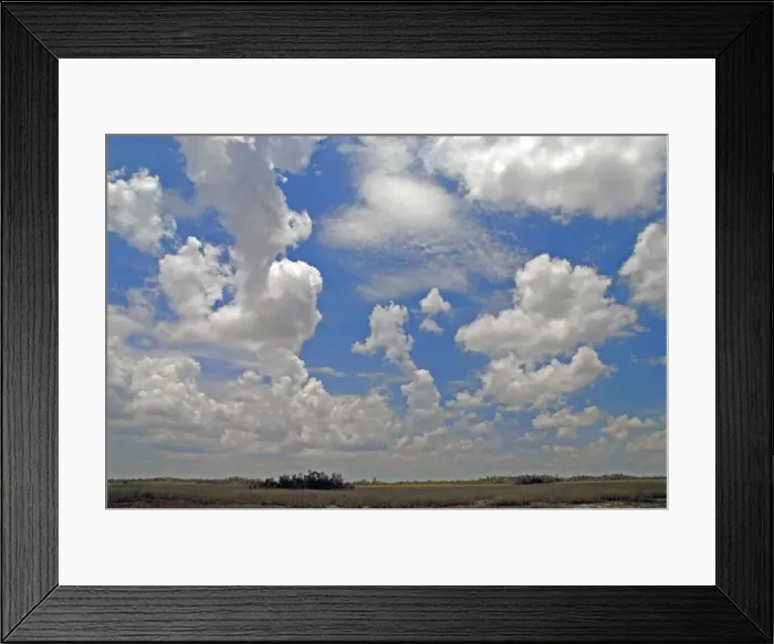 Framed Print : Cumulus clouds developing over Shark Valley, Everglades National Park, Florida, USA Framed Print : Cumulus clouds developing over Shark Valley, Everglades National Park, Florida, USA