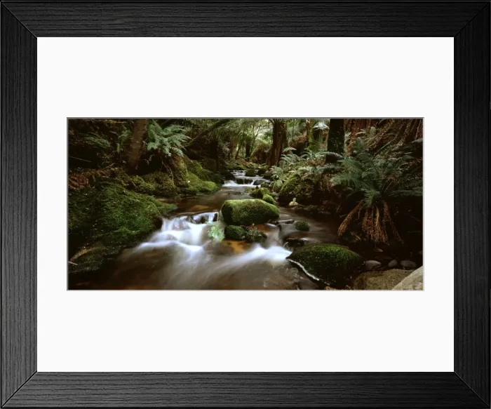 Framed Print : Stream - flowing through rainforest Blue Tier, Tasmania, Australia