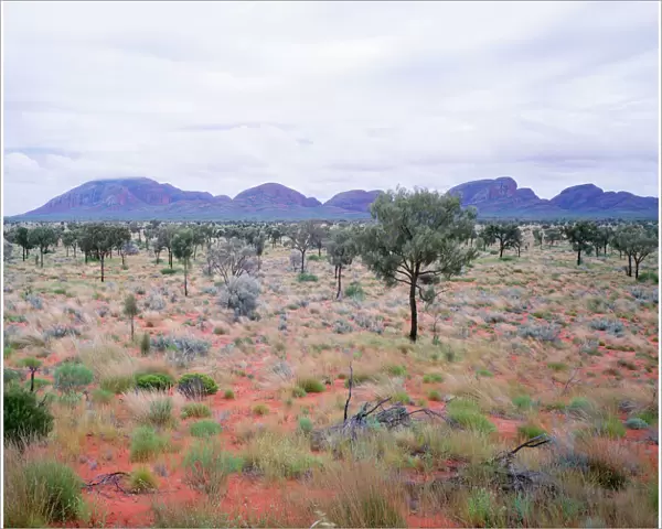 Australia - Kata Tjuta (the Olgas) from the South in rainy conditions. Uluru-kata Tjuta National Park, Northern Territory