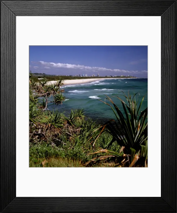 Framed Print : Australia - Looking north to the natural ocean beach with Pandanus headland vegetation and Coolangatta / Tweed heads in the background. The international tourist industry in the region relies on the good condition of the mountains, coast Framed Print : Australia - Looking north to the natural ocean beach with Pandanus headland vegetation and Coolangatta / Tweed heads in the background. The international tourist industry in the region relies on the good condition of the mountains, coast