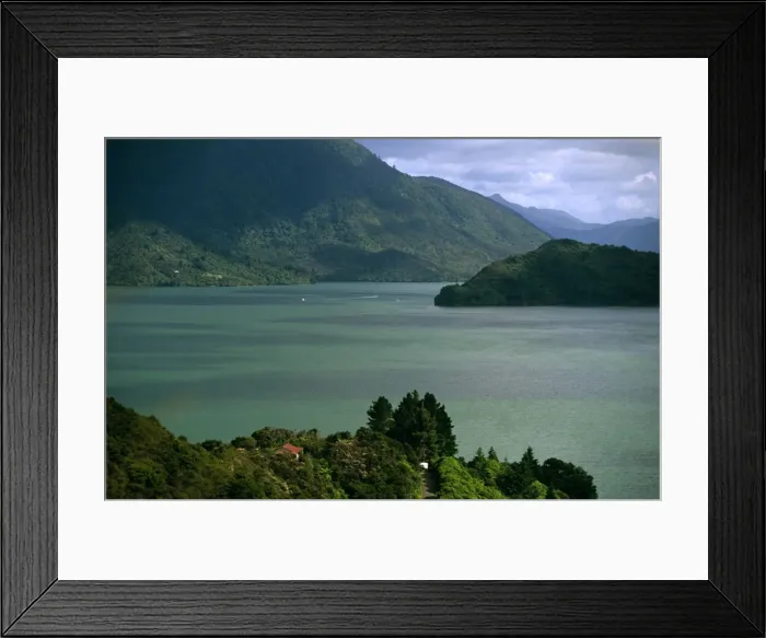 Framed Print : New Zealand - Pelorus Sound Marlborough LAN03812