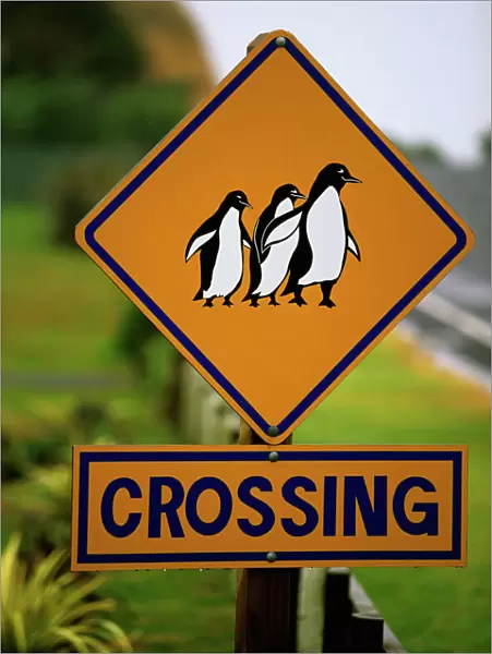 Penguin crossing road sign Coromandel Peninsula, New Zealand LAN03820