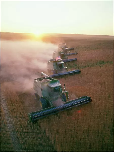 Farming - combine harvester in wheatfields Montana, USA