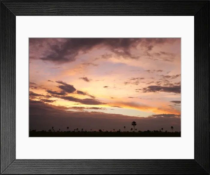 Framed Print : Sunset - Hwange National Park, Zimbabwe, Africa Framed Print : Sunset - Hwange National Park, Zimbabwe, Africa