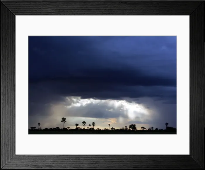 Framed Print : Storm Clouds - Hwange National Park, Zimbabwe, Africa Framed Print : Storm Clouds - Hwange National Park, Zimbabwe, Africa