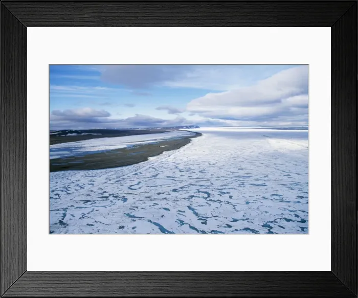 Framed Print : Russia North East Siberia, Wrangle Island, with pack ice Framed Print : Russia North East Siberia, Wrangle Island, with pack ice