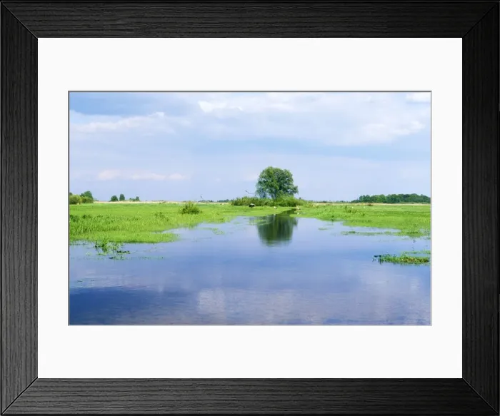 Framed Print : Poland Biebrza Marsh Framed Print : Poland Biebrza Marsh