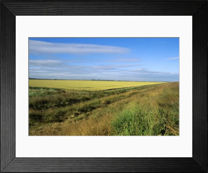 Framed Print : Norfolk UK - scenic fenland
