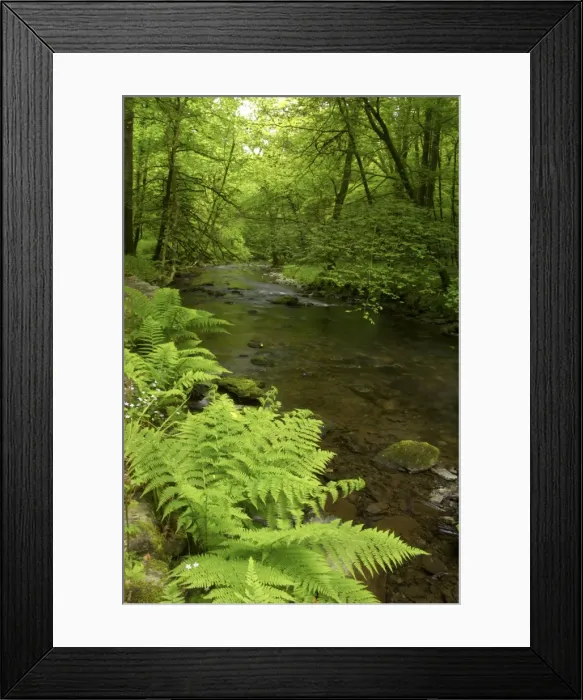 Framed Print : River Lyd - Lydford Gorge Dartmoor National Park Devon, UK LA000238 Framed Print : River Lyd - Lydford Gorge Dartmoor National Park Devon, UK LA000238
