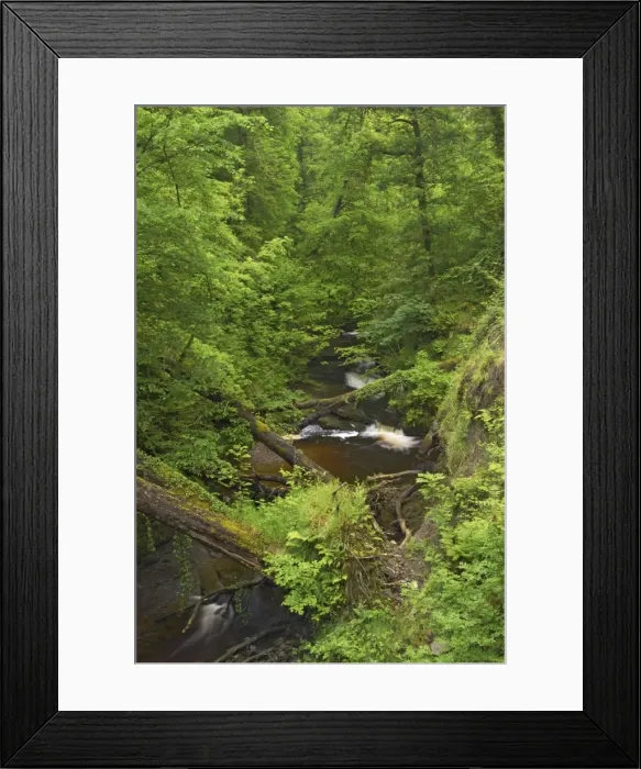 Framed Print : Downstream of Henrhyd Falls Brecon Beacons NP, Wales LA000435