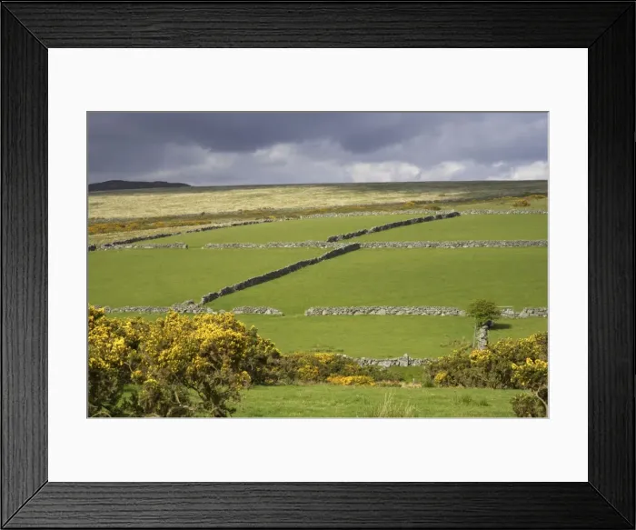 Framed Print : Fertile valley farmland with moors above Princetown area, Dartmoor National Park, Devon UK LA000132 Framed Print : Fertile valley farmland with moors above Princetown area, Dartmoor National Park, Devon UK LA000132