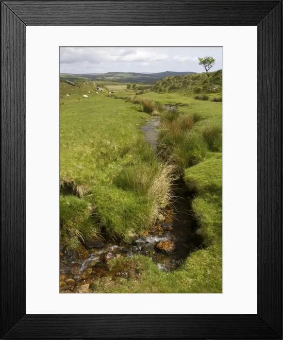 Framed Print : Moorland Stream Dartmoor National Park, Devon UK LA000124 Framed Print : Moorland Stream Dartmoor National Park, Devon UK LA000124