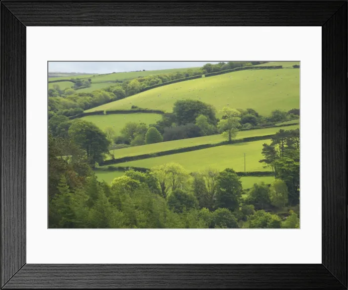 Framed Print : Fields around Malmsmead Exmoor National Park, Somerset UK LA000375 Framed Print : Fields around Malmsmead Exmoor National Park, Somerset UK LA000375