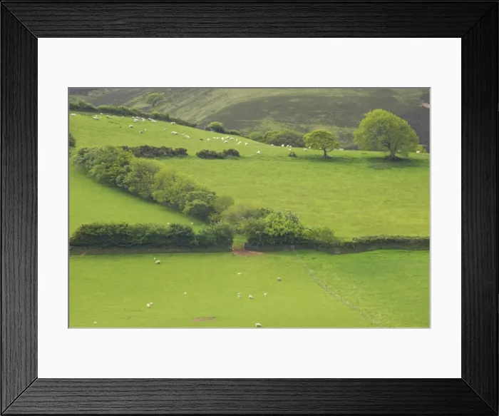 Framed Print : Fields around Malmsmead Exmoor National Park, Somerset, UK LA000379 Framed Print : Fields around Malmsmead Exmoor National Park, Somerset, UK LA000379