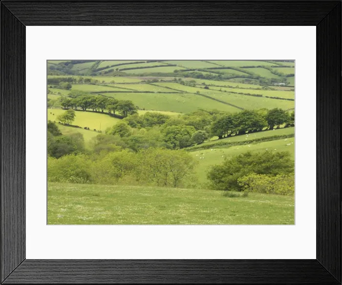 Framed Print : Farmland and Wooded Valley Exmoor National Park, Somerset, UK LA000392 Framed Print : Farmland and Wooded Valley Exmoor National Park, Somerset, UK LA000392