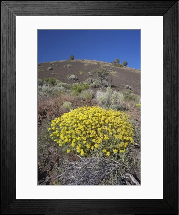 Framed Print : Schonchin Butte (Volcanic one) Lava Beds Natuional Monument California, USA LA000825 Framed Print : Schonchin Butte (Volcanic one) Lava Beds Natuional Monument California, USA LA000825