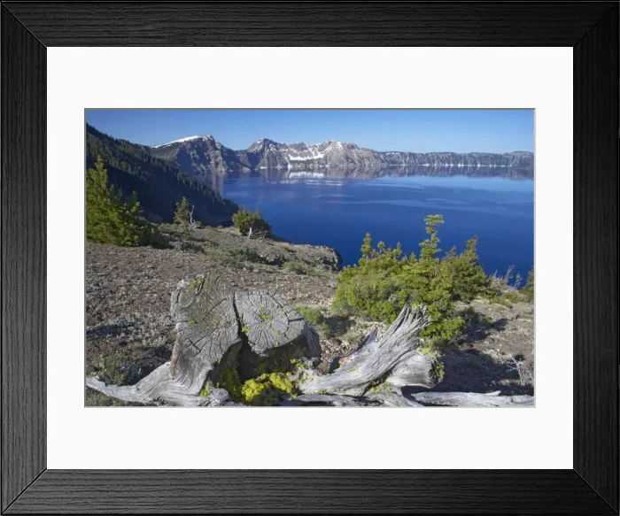 Framed Print : Crater Lake with Dead Trees in foreground Lake is 1, 943 feet deep, deepest in the USA Crater Lake National Park Oregon, USA LA000672 Framed Print : Crater Lake with Dead Trees in foreground Lake is 1, 943 feet deep, deepest in the USA Crater Lake National Park Oregon, USA LA000672