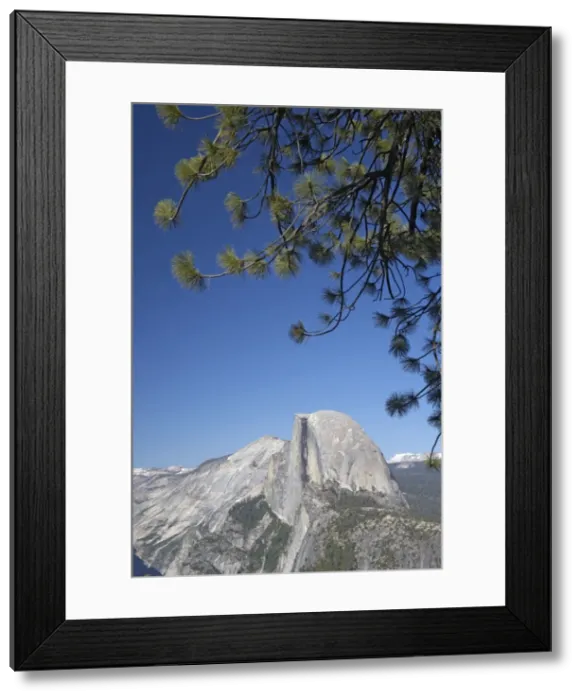 Framed Print : Half Dome from Glacier Point Yosemite National Park California, USA LA000508 Framed Print : Half Dome from Glacier Point Yosemite National Park California, USA LA000508