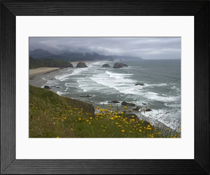 Framed Print : Cannon Beach and Sea Stacks from Ecola State Park North Oregon Coast USA LA000903 Framed Print : Cannon Beach and Sea Stacks from Ecola State Park North Oregon Coast USA LA000903