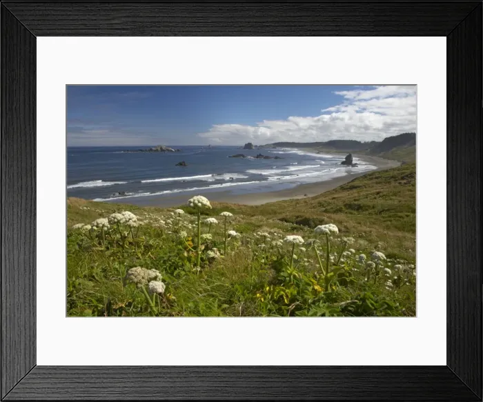Framed Print : Cape Blanco Oregon Coast USA LA000864 Framed Print : Cape Blanco Oregon Coast USA LA000864