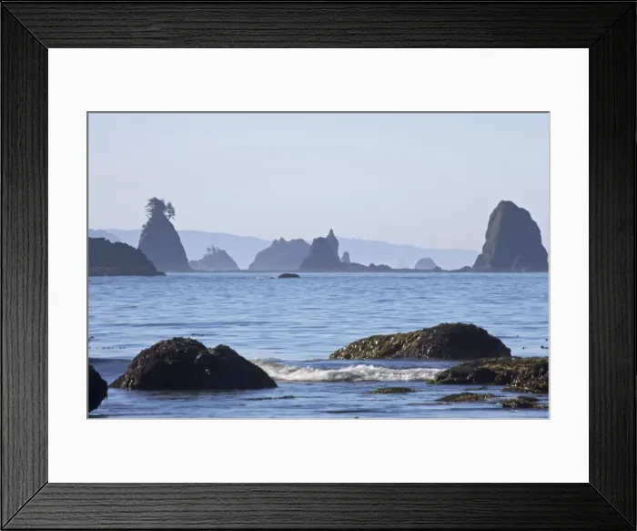 Framed Print : Offshore Sea Stacks, Third Beach Olympic National Park, Washington State, USA LA001547 Framed Print : Offshore Sea Stacks, Third Beach Olympic National Park, Washington State, USA LA001547