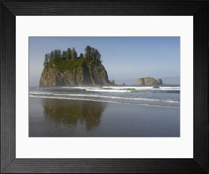 Framed Print : Offsore Sea Stacks, Second Beach Olympic National Park, Washington State USA LA001603 Framed Print : Offsore Sea Stacks, Second Beach Olympic National Park, Washington State USA LA001603