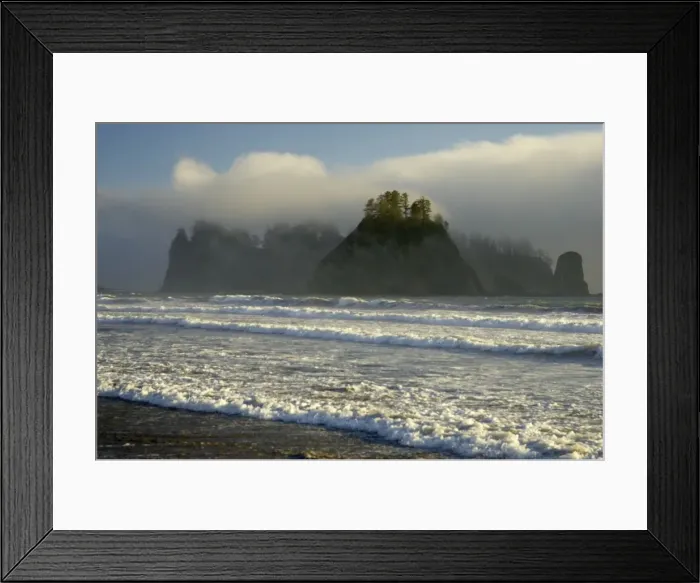 Framed Print : Sea Stacks and Coastal Fog Rialto Beach, Olympic National Park, Washington State, USA LA001507 Framed Print : Sea Stacks and Coastal Fog Rialto Beach, Olympic National Park, Washington State, USA LA001507