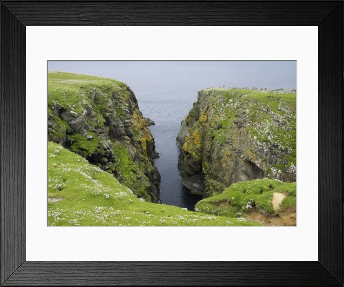 Framed Print : Sea Cliffs Noss Nature Reserve, Shetland, UK LA003136 Framed Print : Sea Cliffs Noss Nature Reserve, Shetland, UK LA003136