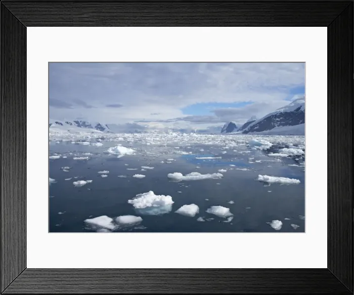 Framed Print : Ice Strewn Bay Neko Harbour Antarctic Penninsular LA002493 Framed Print : Ice Strewn Bay Neko Harbour Antarctic Penninsular LA002493