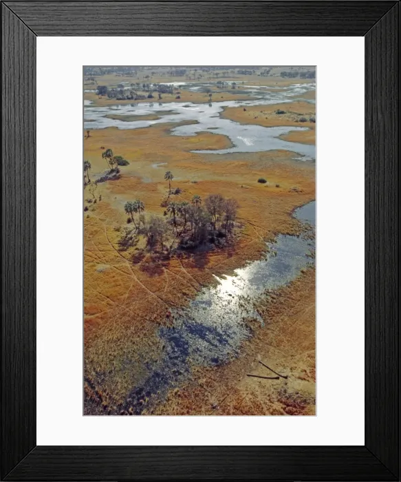 Framed Print : Floodplains Aerial view Okavango Delta, Botswana, Africa Framed Print : Floodplains Aerial view Okavango Delta, Botswana, Africa