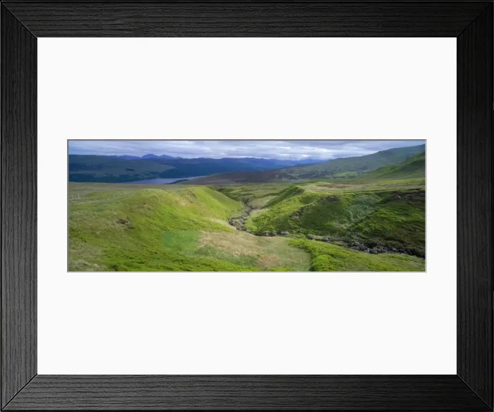 Framed Print : Scotland - highlands, extensive covering of heathland with Bilberry (Vaccinium myrtillus), Cowberry (Vaccinium vitis-idaea) & bright green growth. Argyllshire, Scotland Framed Print : Scotland - highlands, extensive covering of heathland with Bilberry (Vaccinium myrtillus), Cowberry (Vaccinium vitis-idaea) & bright green growth. Argyllshire, Scotland