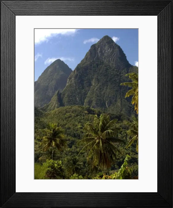 Framed Print : The Pitons Mountains. The Island of St. Lucia is very green with coconut palms widely scattered. The central region is dense rainforest. February Framed Print : The Pitons Mountains. The Island of St. Lucia is very green with coconut palms widely scattered. The central region is dense rainforest. February