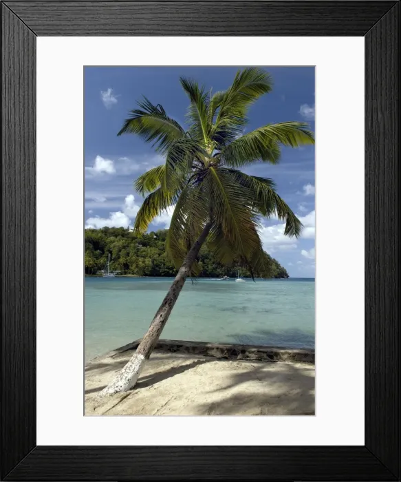 Framed Print : St. Lucia - Azure setting, beach & palm tree at Marigot Bay. St. Lucia, Windward Islands Framed Print : St. Lucia - Azure setting, beach & palm tree at Marigot Bay. St. Lucia, Windward Islands