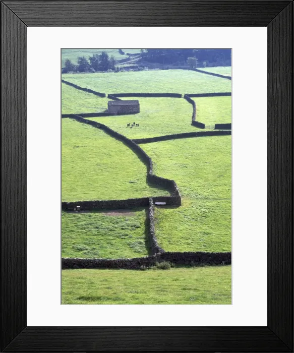 Framed Print : UK - dry stone walls typical of Yorkshire Dales. Gunnerside, Swaledale, Yorkshire, UK Framed Print : UK - dry stone walls typical of Yorkshire Dales. Gunnerside, Swaledale, Yorkshire, UK