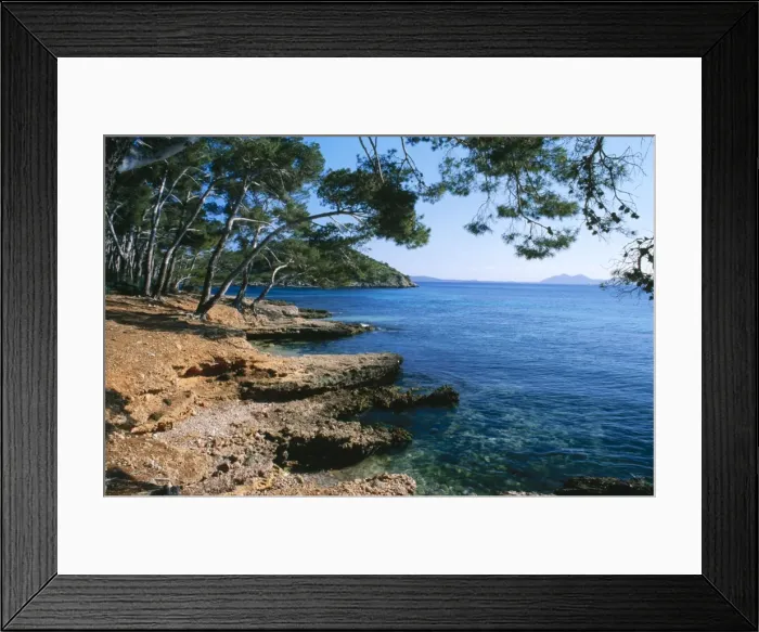 Framed Print : Majorca Overhanging pine trees at formentor, Bay of Polenca Framed Print : Majorca Overhanging pine trees at formentor, Bay of Polenca