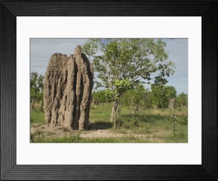 Framed Print : Termite Mound Northern Territory, Australia Framed Print : Termite Mound Northern Territory, Australia