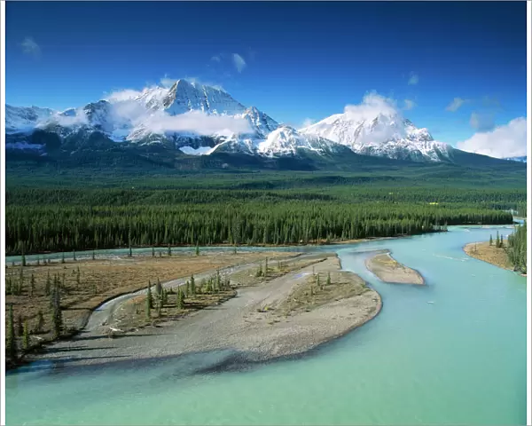 Canada Athabasca River & Rocky Mountains, Jasper National Park, Alberta, Canada
