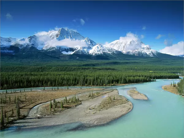 Canada Athabasca River & Rocky Mountains, Jasper National Park, Alberta, Canada