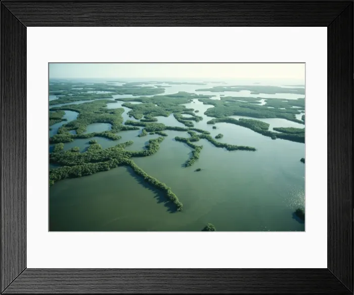 Framed Print : USA - Everglades National Park, the Ten Thousand Islands. Florida Framed Print : USA - Everglades National Park, the Ten Thousand Islands. Florida